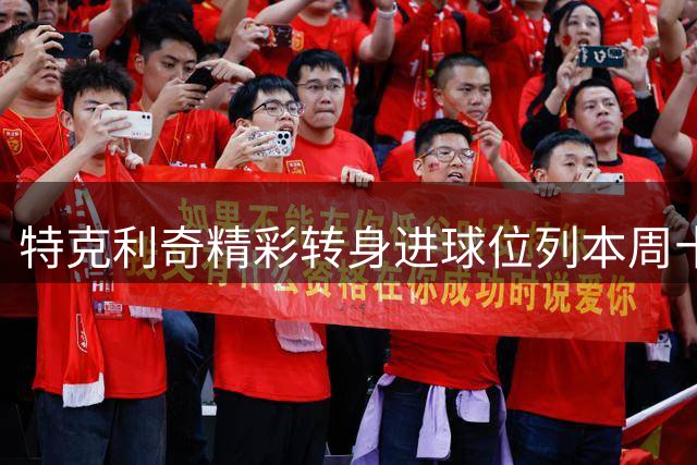 特克利奇精彩转身进球位列本周十佳之首